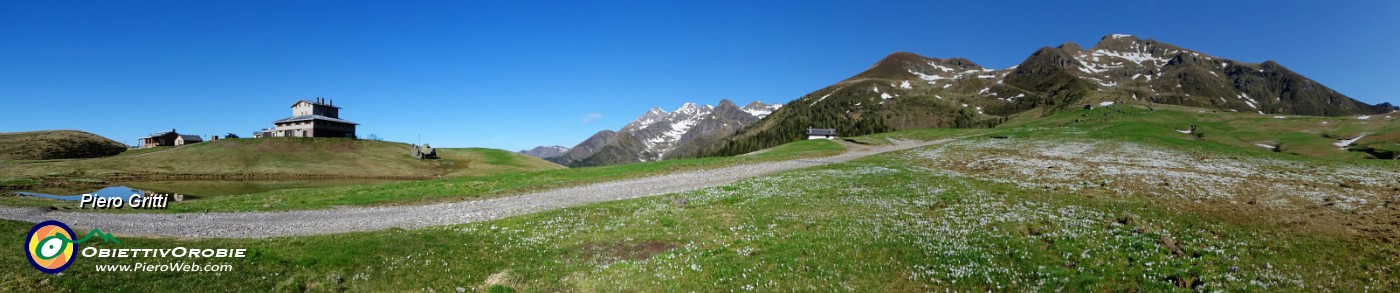 12 Dal bianco della neve al bianco dei crocus in brevissimo tempo !.jpg